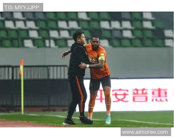 武汉足球队实力强劲荣登全国足球实力排行榜第十位